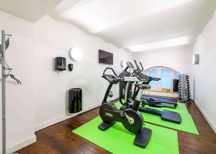 Ibis Styles Hotel Trevír